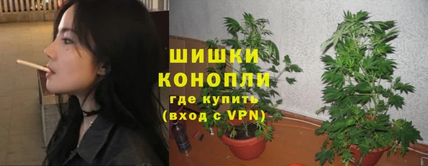 молекула духа Зеленокумск