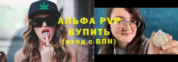 молекула духа Зеленокумск