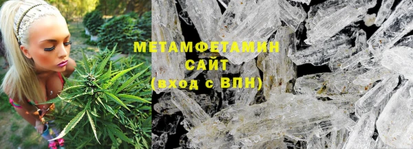 сатива Заводоуковск