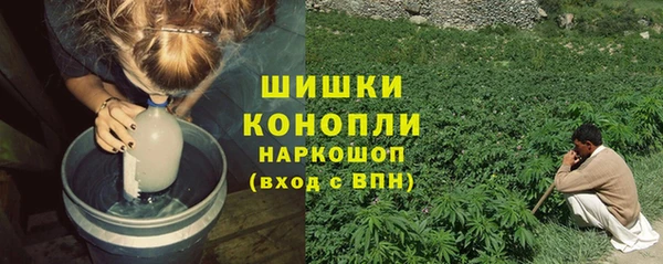 шишки Новокубанск
