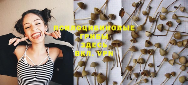 эйфоретик Новозыбков