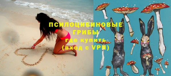 шишки Новокубанск