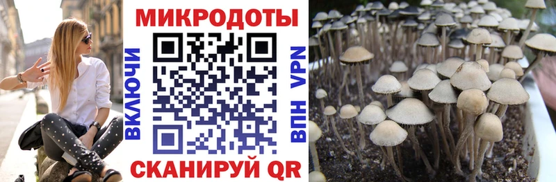 Галлюциногенные грибы MAGIC MUSHROOMS Мурино